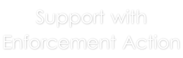 Support with  Enforcement Action
